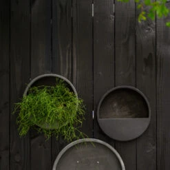 Wally Natural Wall Planter - Black -Plant Supplies Sale WallyNaturalWallPlanter Black 4