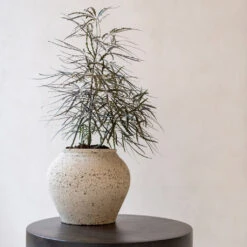 Zeus Mediterranean Planter - Chalk White -Plant Supplies Sale Zeus Mediterranean Planter Chalk White Lifestyle 2