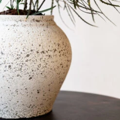 Zeus Mediterranean Planter - Chalk White -Plant Supplies Sale Zeus Mediterranean Planter Chalk White Lifestyle