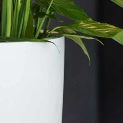 Ben Essentials Planter - Matt White -Plant Supplies Sale ben indoor planter essential matte white close up