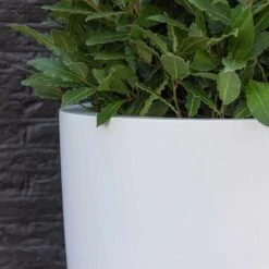 Ben Essentials Planter - Matt White -Plant Supplies Sale ben planter essential matte white close up