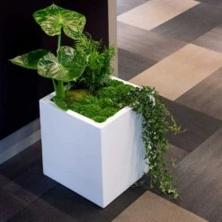 Block Essentials Planter - Matt White 13 Block Essentials Planter - Matt White -Plant Supplies Sale block planter essential matte white indoor plants cube
