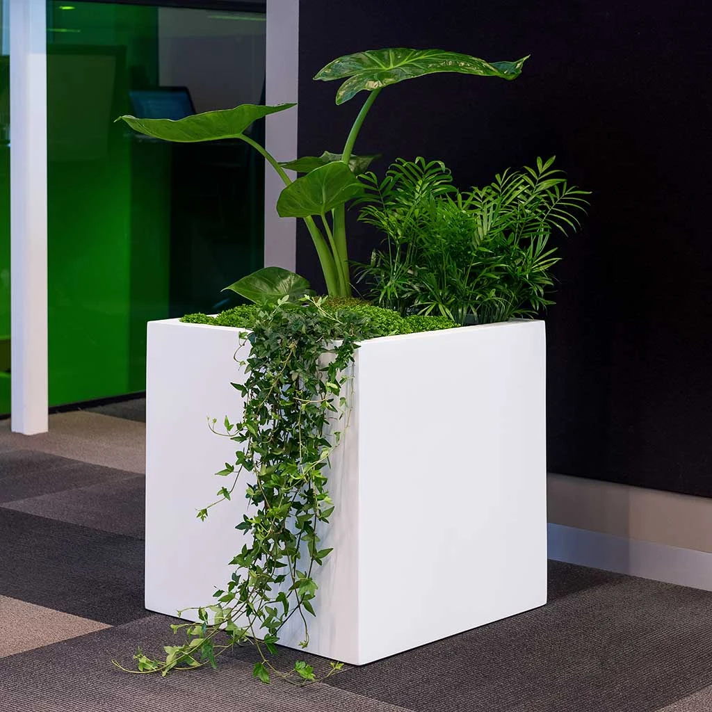 Block Essentials Planter - Matt White 6 Block Essentials Planter - Matt White - Image 6