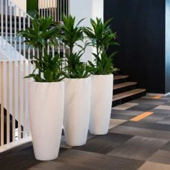 Dax Essentials Tall Planter - Matt White -Plant Supplies Sale dax planter essential matte white open plan office