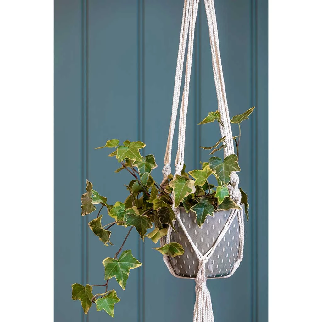 Macrame Hanging Plant Pot 2 Macrame Hanging Plant Pot - Image 2