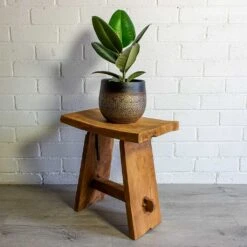 Mya Plant Pot - Deep Champagne -Plant Supplies Sale mya deep champagne plant pot Ficus elastica Robusta