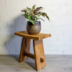 Mya Plant Pot - Deep Champagne -Plant Supplies Sale mya deep champagne plant pot calathea fusion white