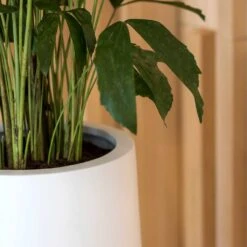 Nax Essentials Tall Planter - Matt White -Plant Supplies Sale nax planter essential matte white edge