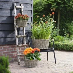 Paula Wikr Plant Baskets - Set Of 4 - Natural -Plant Supplies Sale paula wicker plant baskets set of 4 natural lifestyle 001