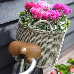 Paula Wikr Plant Baskets - Set Of 4 - Natural -Plant Supplies Sale paula wicker plant baskets set of 4 natural lifestyle 002