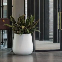 Pax Essentials Planter - Matt White -Plant Supplies Sale pax planter essential matte white office plants