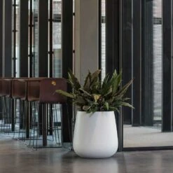 Pax Essentials Planter - Matt White -Plant Supplies Sale pax planters essential matte white office reception plants