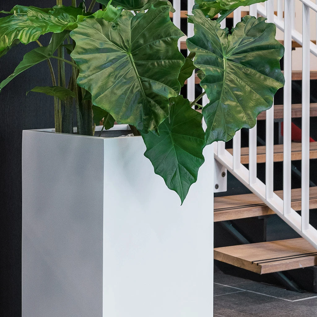 Bouvy Essentials Planter - Matt White 6 Bouvy Essentials Planter - Matt White - Image 6